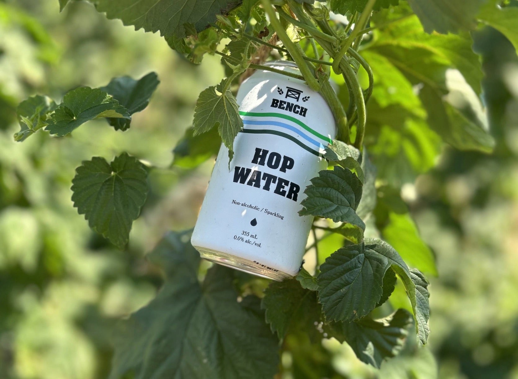 Hop Water